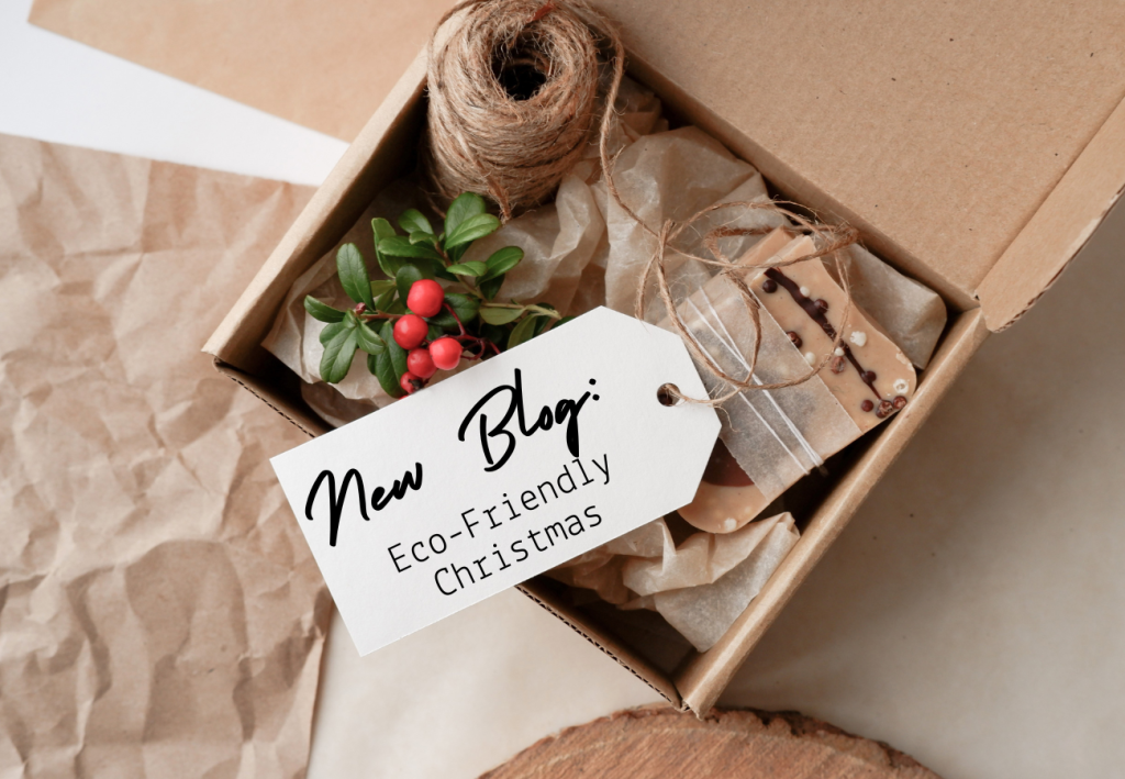 This heartwarming image captures the essence of sustainable holiday gifting. In the foreground, a beautifully wrapped present sits, enveloped in eco-friendly wrapping paper adorned with a natural, understated pattern. The gift is elegantly tied with a rustic twine, and a sprig of fresh, green foliage rests atop, adding a touch of nature’s beauty. The twine and foliage create a charming, earthy look, perfectly embodying the spirit of an eco-conscious Christmas. The background softly blurs, drawing focus to the delicate balance of simplicity and festivity in the gift's presentation, symbolizing a thoughtful and environmentally aware approach to holiday celebrations.