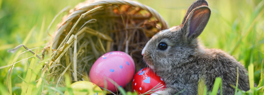 A playful rabbit nestled in lush green grass, surrounded by colorful chocolate Easter eggs, symbolising the joy and festivity of Easter.