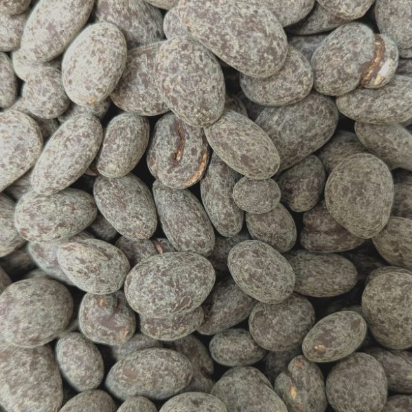 Raw Halo Organic Chocolate Almonds
